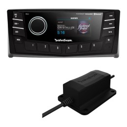 Punch Sieciowy odbiornik (PMX-5) 2.7” Color Display z STNG CAN