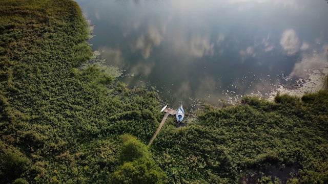 Cumowanie na dziko – czy to dozwolone? O czym trzeba pamiętać?